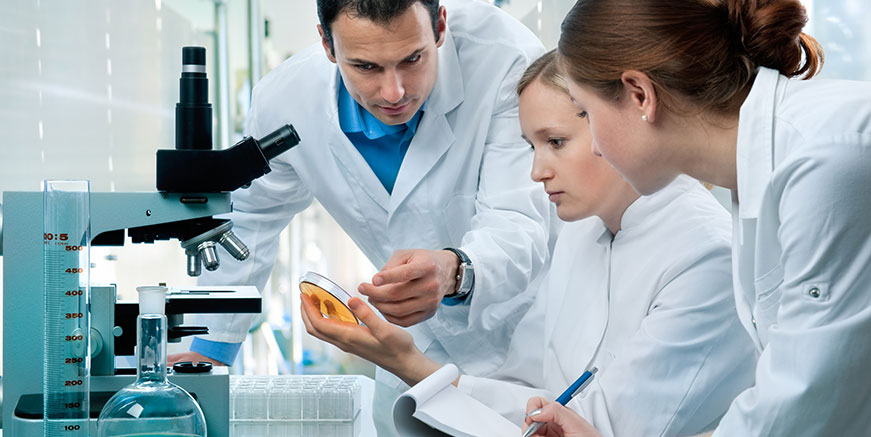 pharmaceutical company in ahmedabad